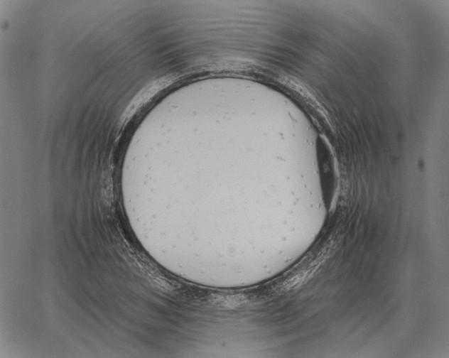 X0000062650978200601181805