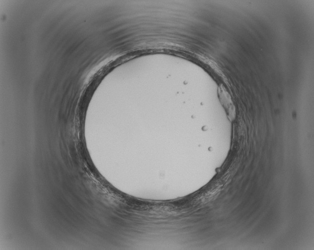 X0000062650979200601181805