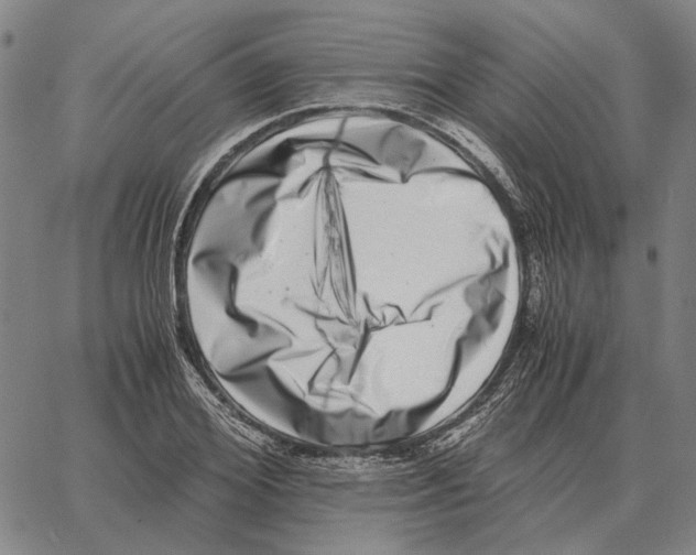 X0000062650980200601181805