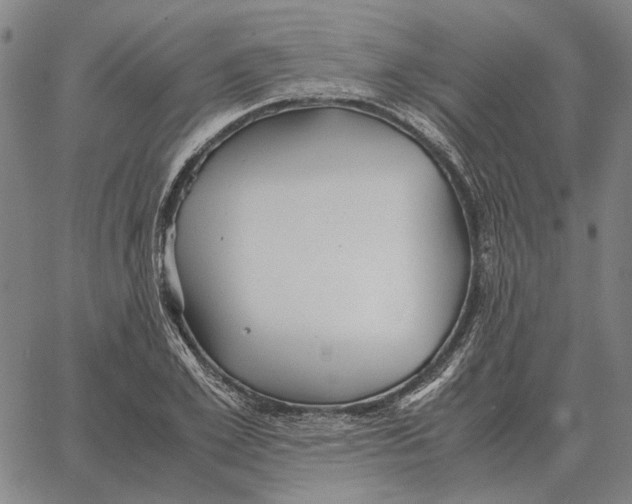 X0000062650981200601181805