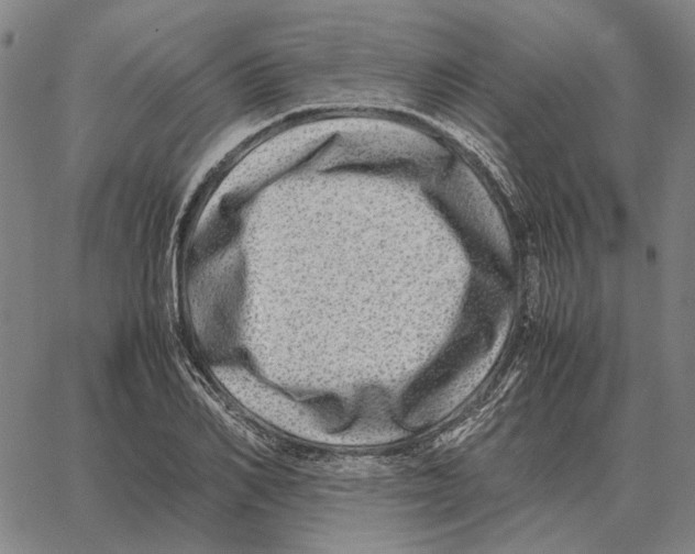 X0000062650982200601181805