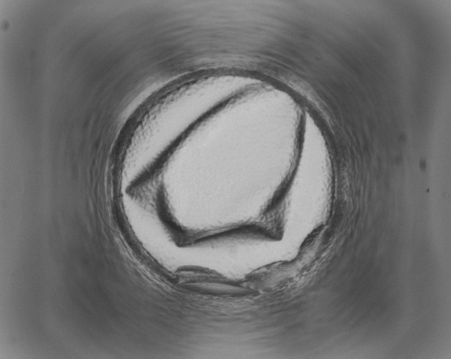 X0000062650983200601181805