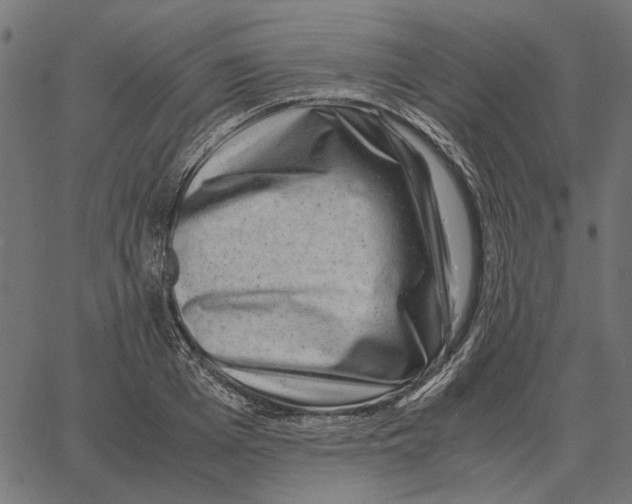 X0000062650985200601181805