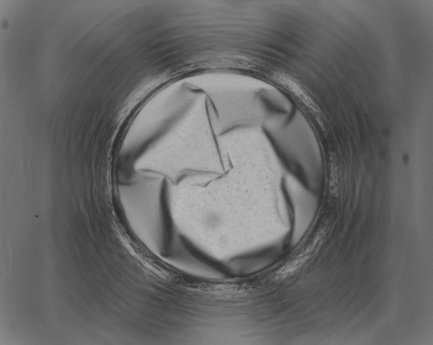 X0000062650986200601181805