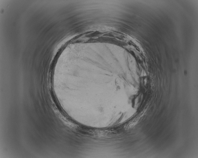 X0000062650987200601181805