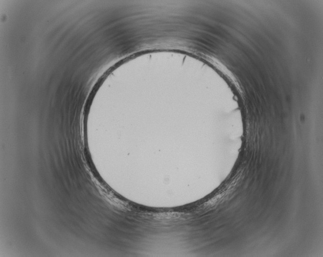 X0000062650988200601181805