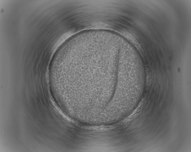 X0000062650990200601181805