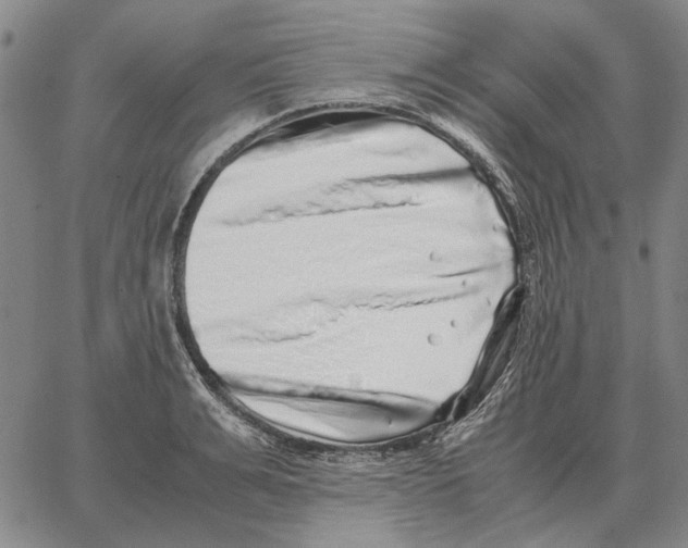 X0000062650991200601181805