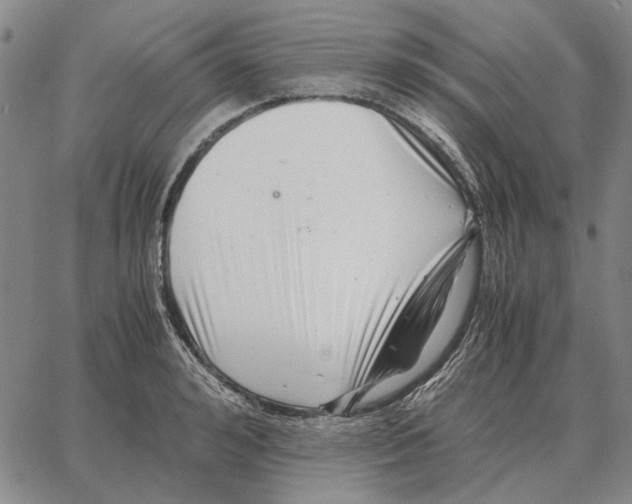 X0000062650992200601181805