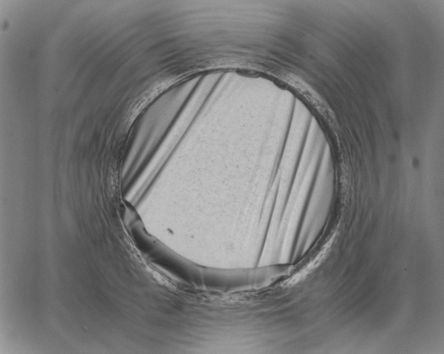 X0000062650993200601181805