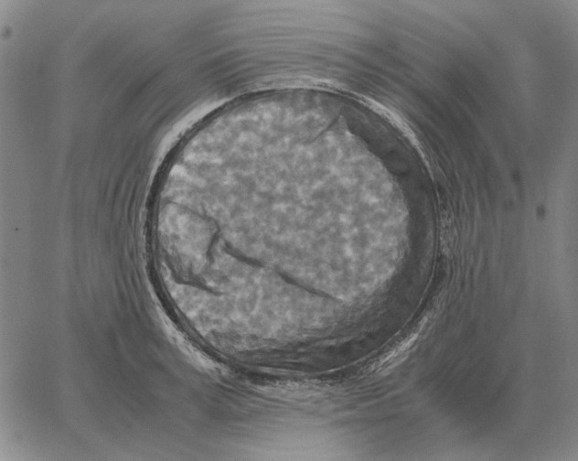 X0000062650995200601181805