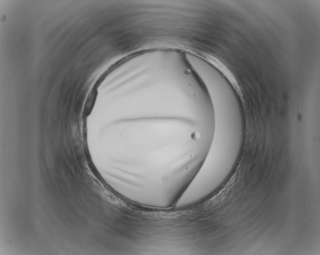 X0000062650996200601181805