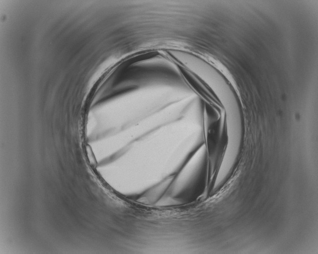 X0000062650997200601181805