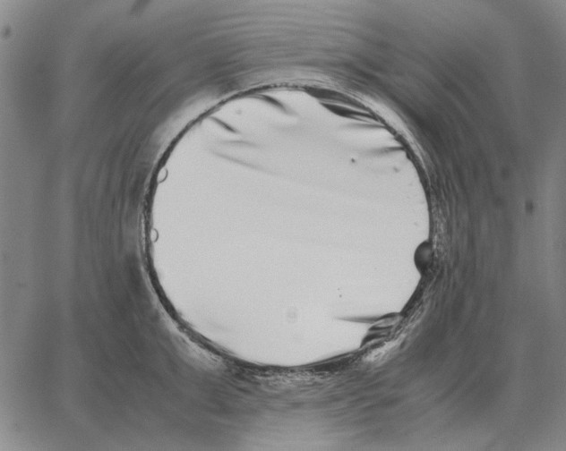 X0000062650999200601181805