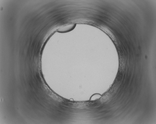 X0000062651000200601181805