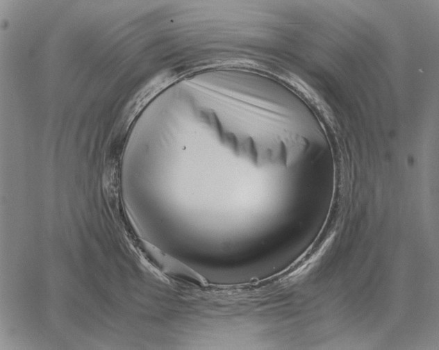 X0000062651001200601181805