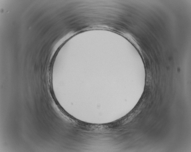 X0000062651003200601181805