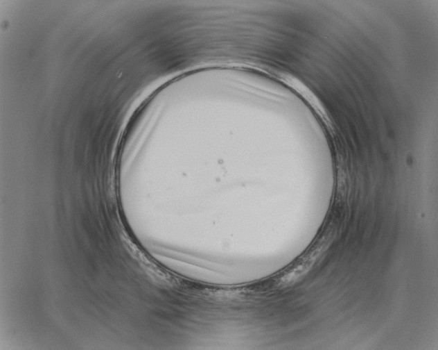 X0000062651004200601181805