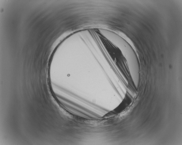 X0000062651005200601181805