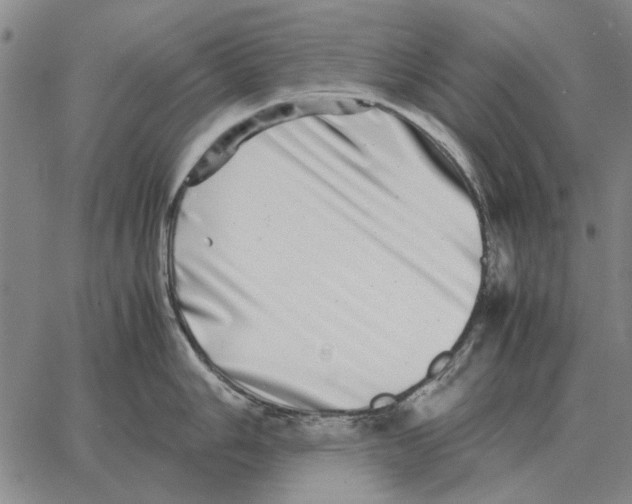 X0000062651006200601181805