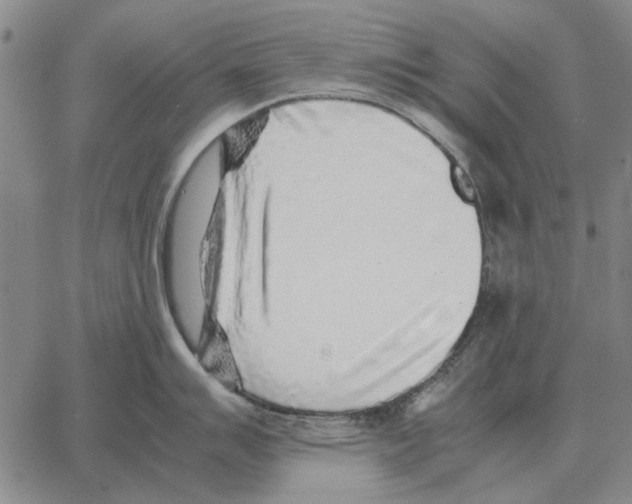 X0000062651007200601181805