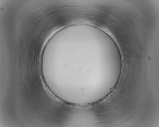 X0000062651008200601181805