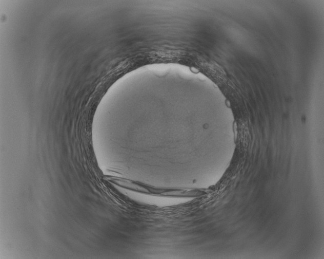 X0000062651009200601181804