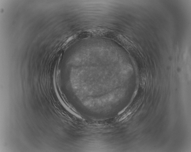 X0000062651010200601181804