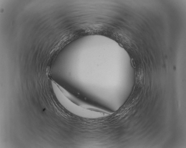 X0000062651012200601181804