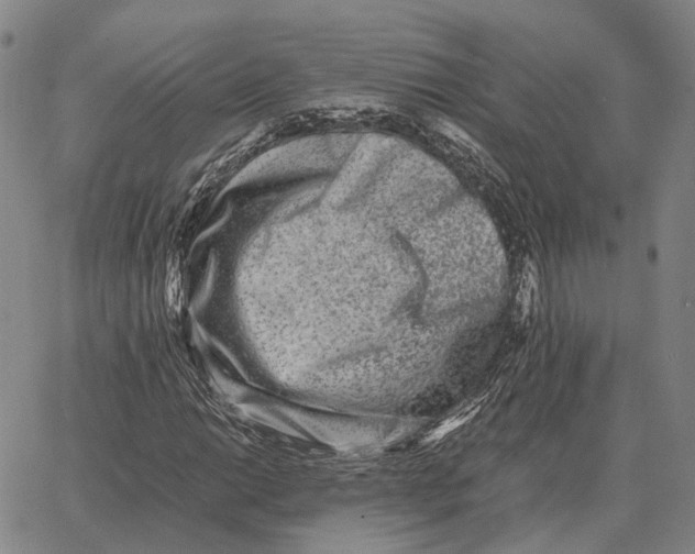 X0000062651014200601181804