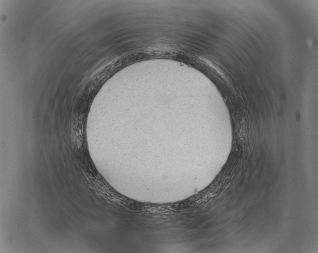 X0000062651015200601181804