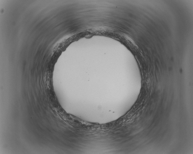 X0000062651016200601181804