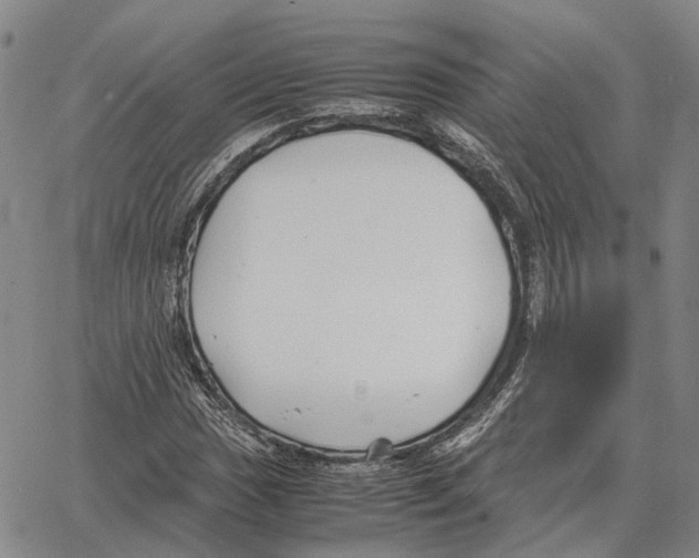 X0000062651017200601181804