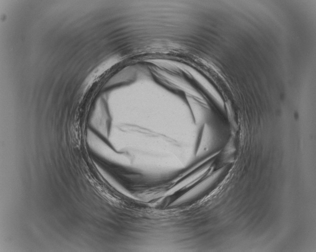 X0000062651018200601181804