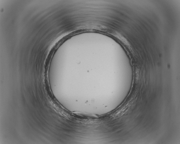 X0000062651020200601181804