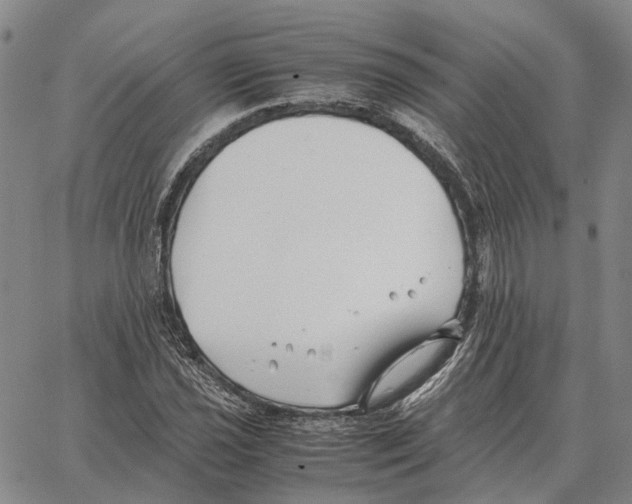 X0000062651021200601181804