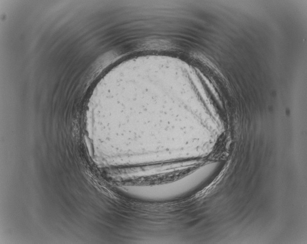 X0000062651025200601181804