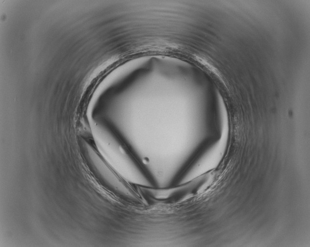 X0000062651026200601181804