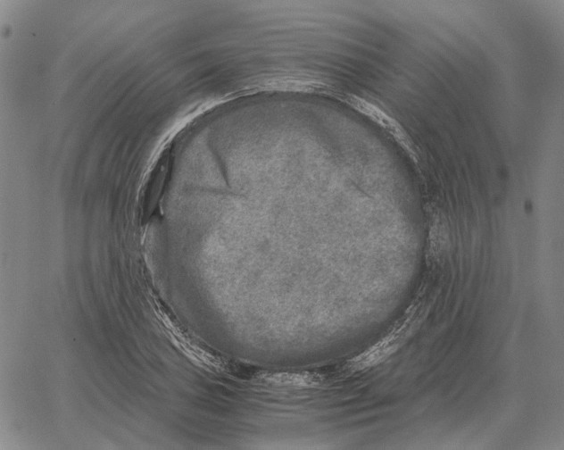 X0000062651027200601181804