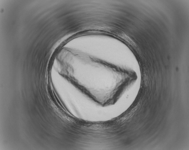 X0000062651028200601181804