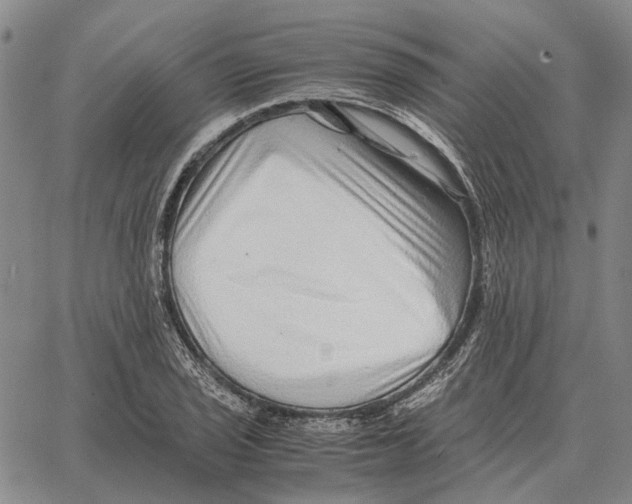 X0000062651029200601181804