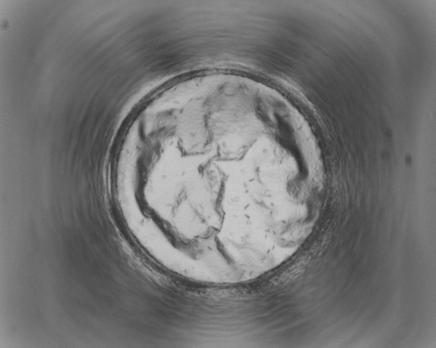 X0000062651032200601181805