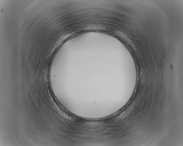 X0000062651033200601181805