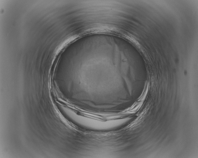 X0000062651034200601181805