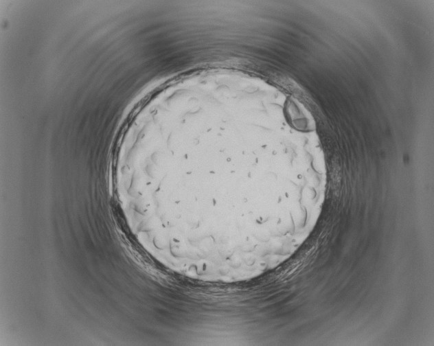 X0000062651036200601181805