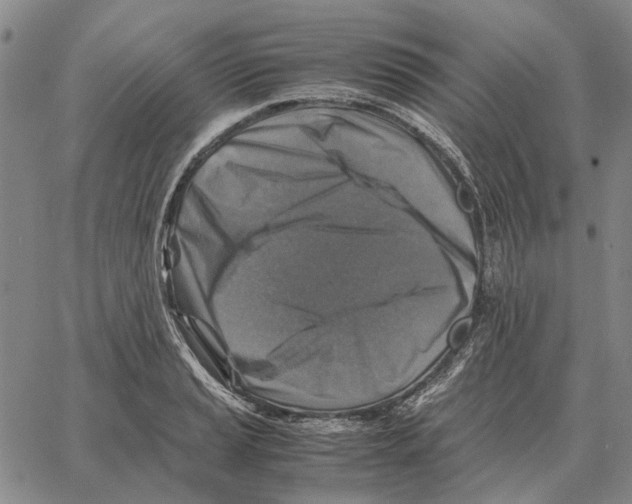 X0000062651037200601181805