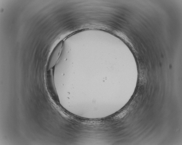 X0000062651040200601181805