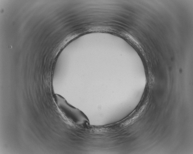 X0000062651041200601181805