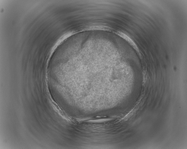 X0000062651043200601181805