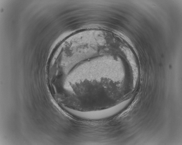 X0000062651045200601181805